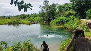 হর হর মহাদেব বন্ধুরা ভিডিওটা প্লিজ শেয়ার করবেন#viralvideo #daliyvlog #youtubeshorts