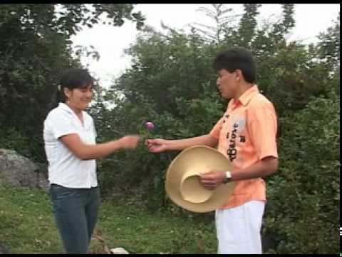 Los Pacharacos - Chinita Ingrata