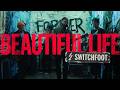 Switchfoot Beautiful Life
