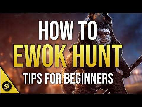 How to: EWOK HUNT - Tips & Tricks for beginners!