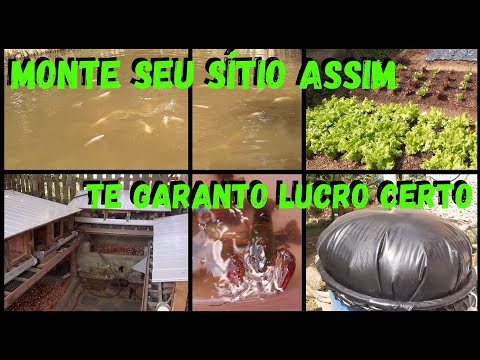 , title : 'Monte Sítio Pequeno Neste Sistema-Retorno Rápido Garantido #sustentabilidade @TILAPIAMinhaVida'