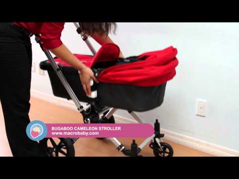 MacroBaby - Bugaboo Cameleon Stroller