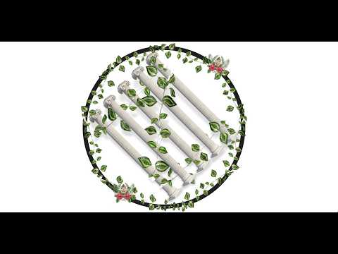 Pra. Liliana Passo Oviedo - Ministerio JeeS a la Mujer.