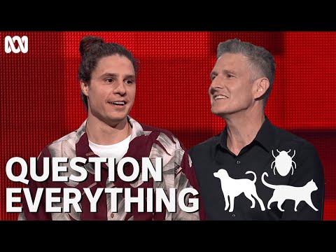 The funniest animal theory you'll ever hear | Question Everything | ABC TV + iview