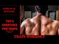 TRAPS WORKOUT | HOW TO BUILD BIG TRAPS | TOP 5 EXERCISES FOR TRAPS | Rahul fitness official