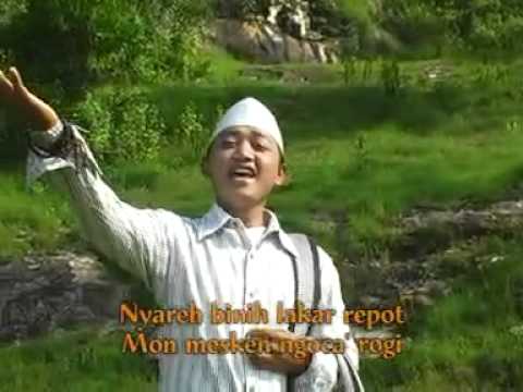 AL - ABROR [ CEWEK MATRE ]