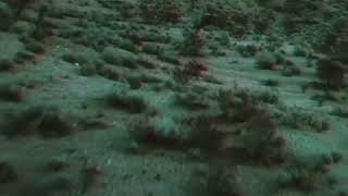 Boards of Canada - One Very Important Thought (Video by Neil Krug)