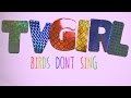 TV Girl- Birds Don't Sing (Lyrical Music Video)