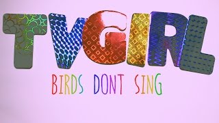 TV Girl- Birds Don't Sing (Lyrical Music Video)