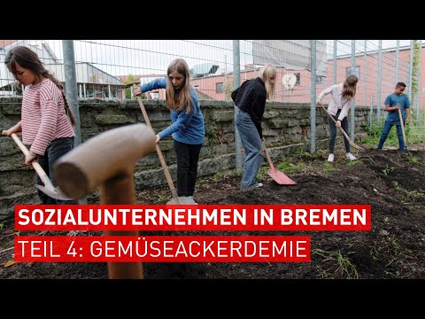 Junges Gemüse erntet junges Gemüse - Sozialunternehmen GemüseAckerdemie