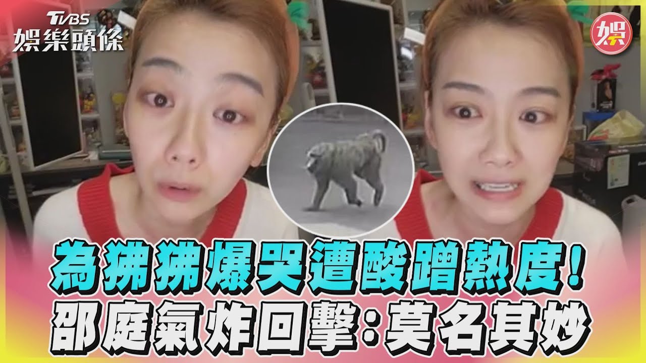 影音/為狒狒爆哭遭酸蹭熱度! 邵庭氣炸回擊:莫名其妙