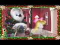 Casper The Friendly Ghost 🎄 Casper's Haunted Christmas 🎄 Christmas Cartoons For Kids