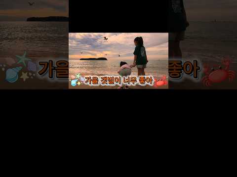 가을갯벌이너무좋아(세로버전) #뮤비 #쇼츠 #하윤하랑