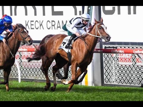 Moir Stakes Night Preview! Friday 24th September 2021