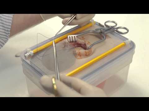 Open hernia repair (simulated)