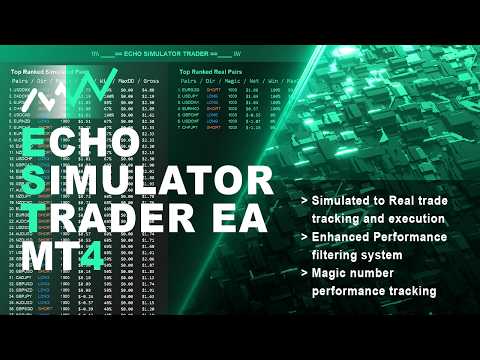 Video Echo Simulator Trader