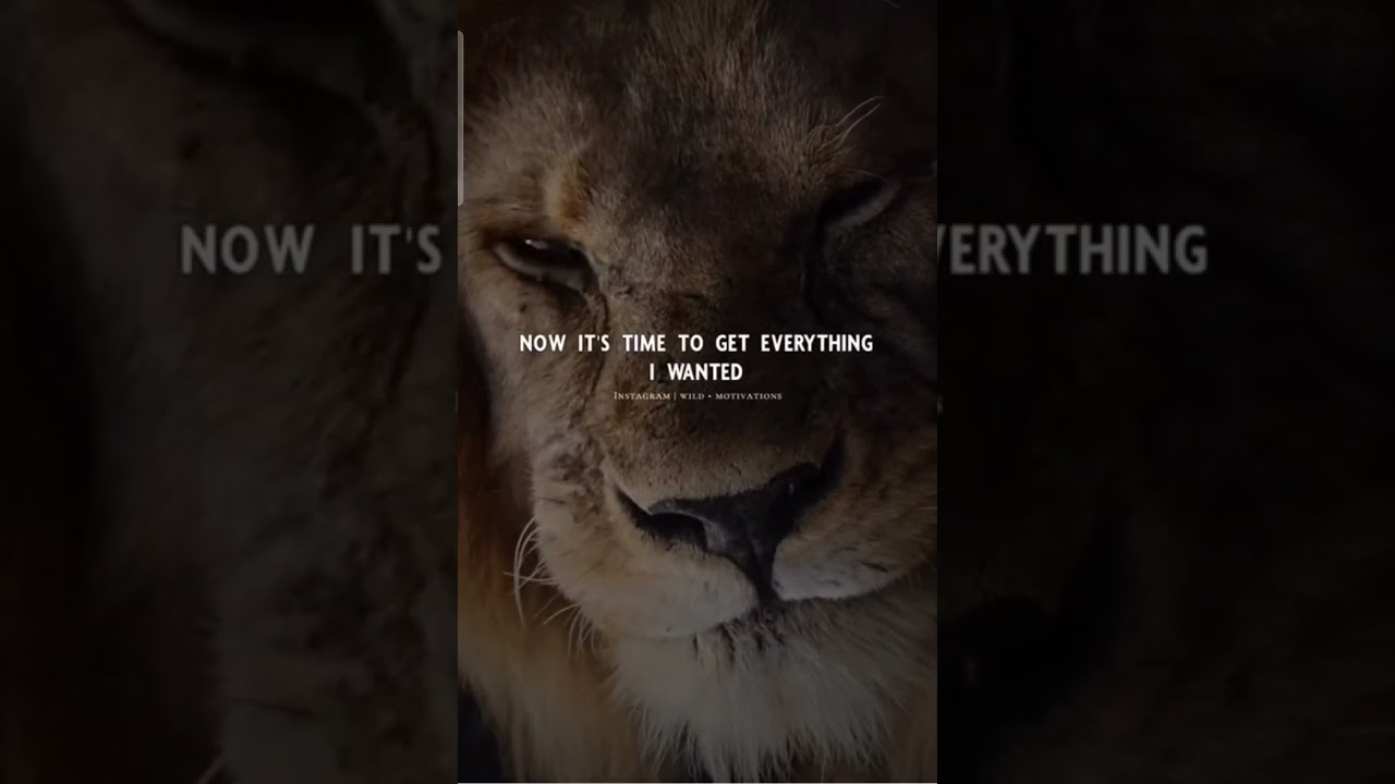 Sigma rule 😎🔥~ Attitude status 😈 | WhatsApp status | Attitude quotes #shorts #quotes #attitude