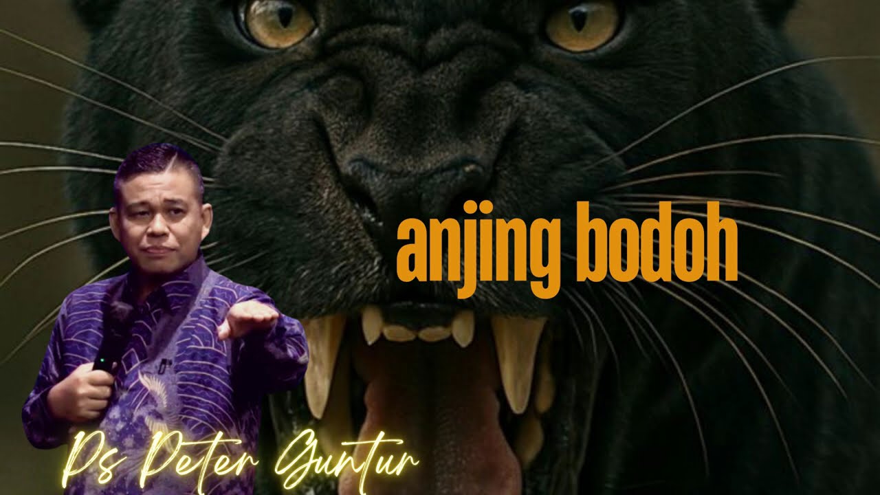 ANJING ANJING BODOH  -  PETER GUNTUR