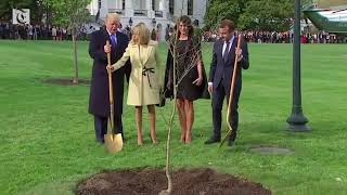 Trump, Macron plant a tree at the White House to begin state visit