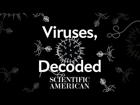 Decoded: What are viruses, exactly?