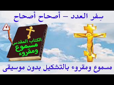 العدد 1