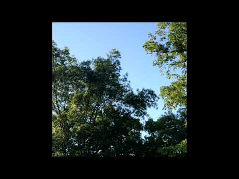 zinoblade - DEEP SLEEP (zinoblade)