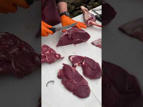 Cutting up a deer carcass & making it simple