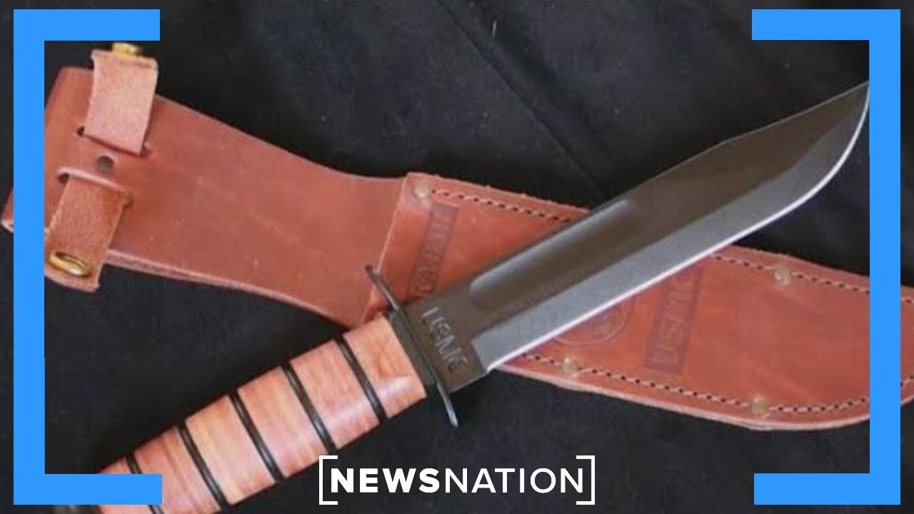 Idaho college killings: What are the chances judge dismisses DNA evidence? | Morning in America