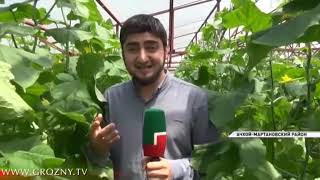 В рамках года здравоохранения в Чечне строят несколько больниц