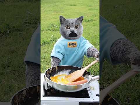 Dare To Try This Crazy Egg And Ham Trick?🤪🍳 #funnycat #catmemes #trending