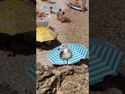 Playa de la granadilla 😍🔥🔥￼