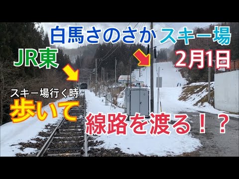 【白馬さのさかスキー場】コース幅広し！カリカリだったけど想像以上に良かった件(2020/02/01 #ゲレンデレポート)