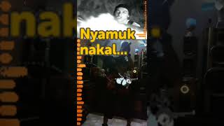 Download lagu Pesta RAP 1(Nyamuk) mp3