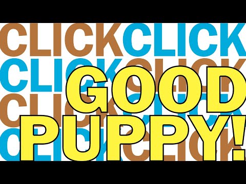 m4a | pleasure-oriented clicker training | everyday routine for puppy! | ENG / ESP / FR subtitles
