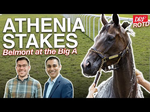 Athenia Stakes @ Belmont at the Big A | DRF Sunday ROTD | September 14, 2025