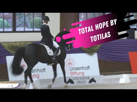 Totilas Offspring On Top: Total Hope Win the 2021 Louisdor Cup Finals