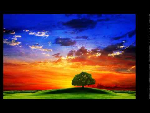 Midnite And Mystic Vision Collaboration - Heart Stay