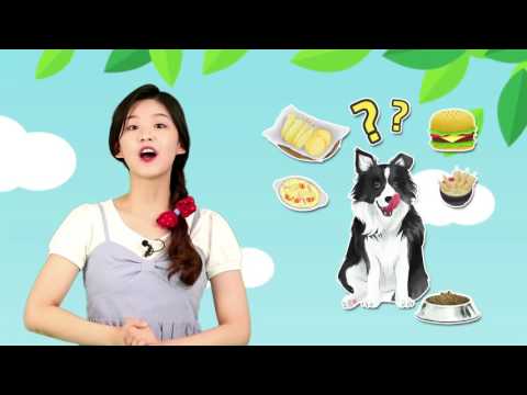 애완동물 기르기이미지