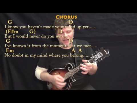 Make You Feel My Love - Mandolin Cover Lesson in D with Chords/Lyrics