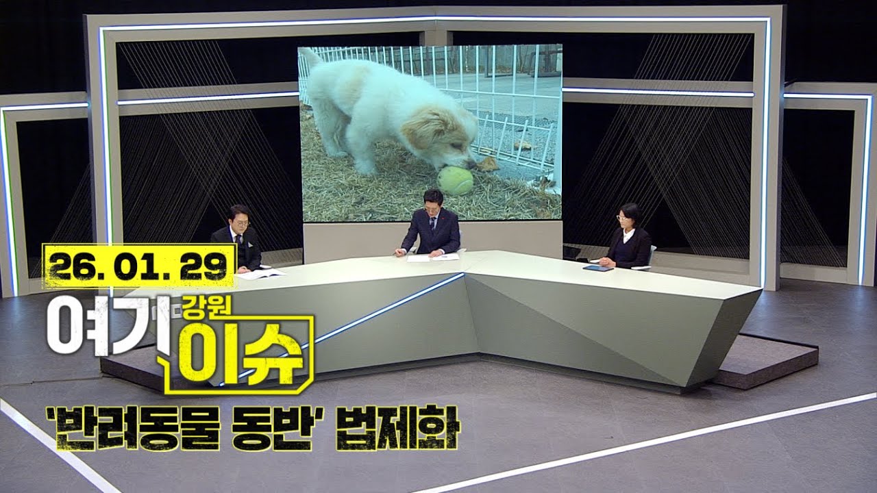 여기 이슈 강원 69화 