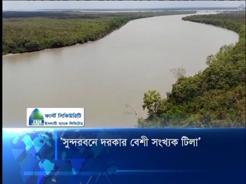 সুন্দরবনে দরকার বেশী সংখ্যাক টিলা