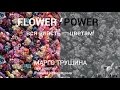 Flower/Power by Margo Trushina 