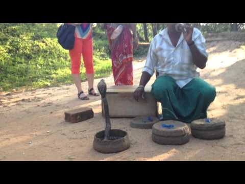 download lagu mp3 mp4 Snack Show, download lagu Snack Show gratis, unduh video klip Snack Show
