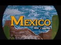Ceo Business Net Mexico Feat Jungle Bobby