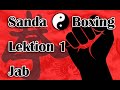 Kung Fu Sanda Boxing Lektion 1 Jab