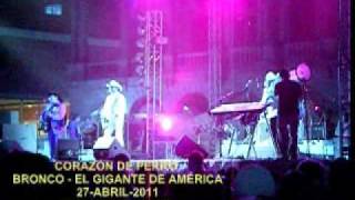 Bronco - Corazón de perro En vivo