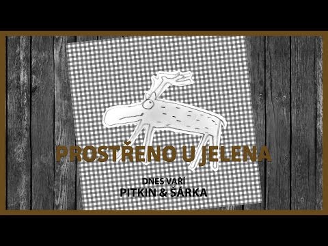 Šárka & Pitkin | PROSTŘENO U JELENA