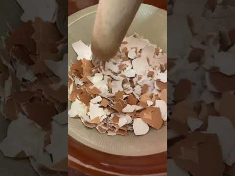 庭の卵殻粉末: 成功の秘訣を発見する  庭園