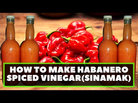 download lagu mp3 mp4 Habanero Vinegar, download lagu Habanero Vinegar gratis, unduh video klip Habanero Vinegar