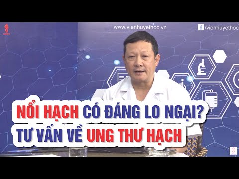 U lympho không Hodgkin (ung thư hạch): Nguyên nhân, triệu chứng và điều trị - Viện Huyết học - Truyền máu Trung ươngViện Huyết học – Truyền máu Trung ương    